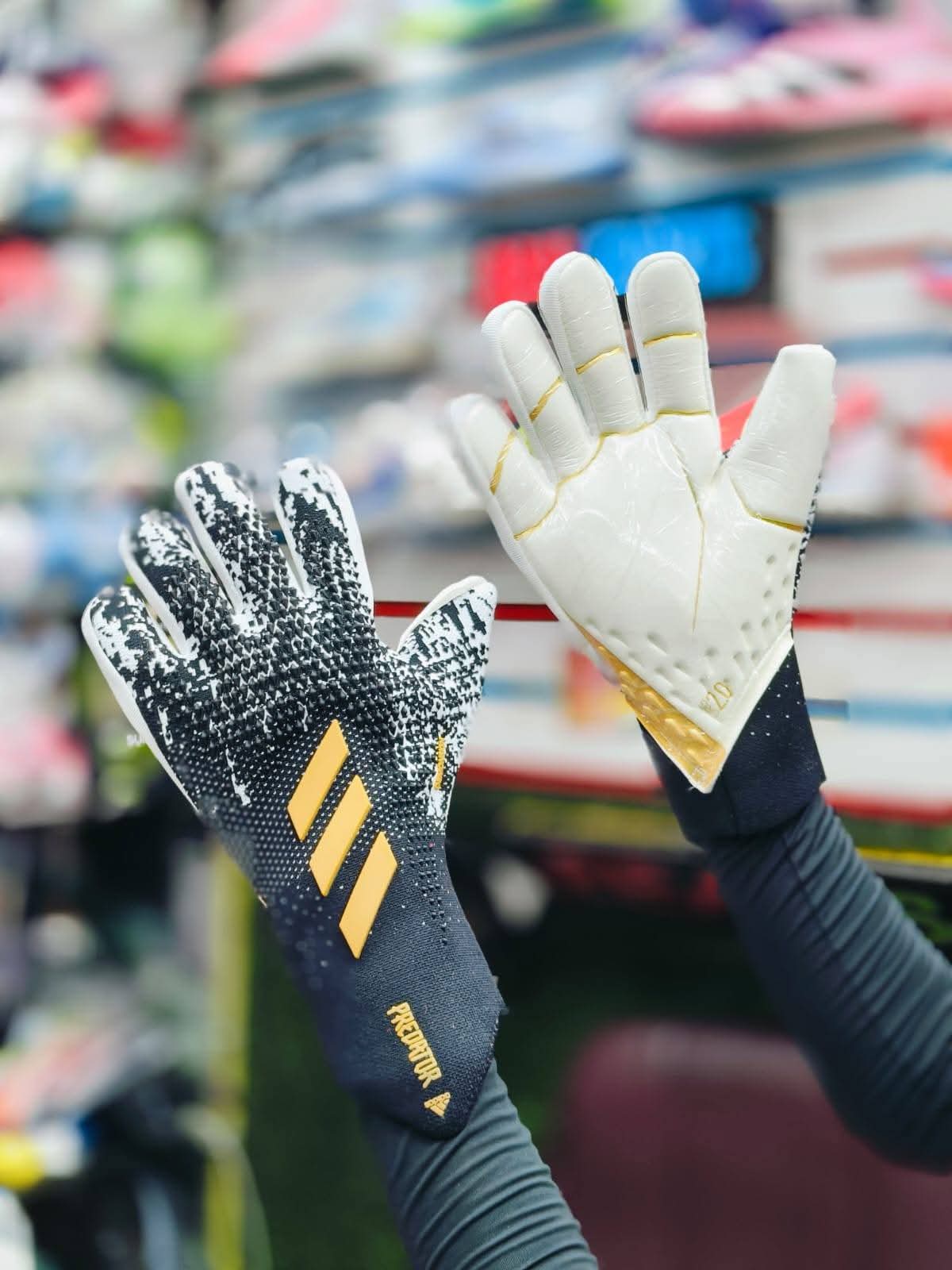 Goalkeeper Gloves · Black / Gold
